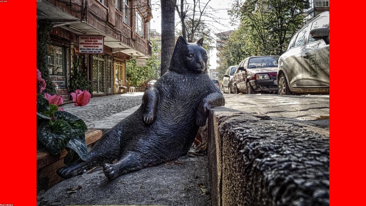 AI marketing verdict card