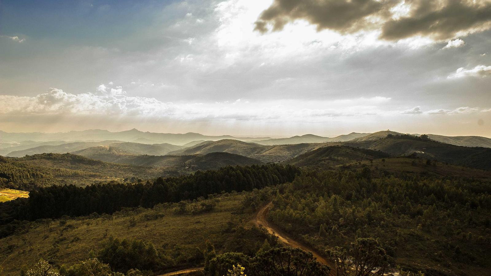 AI privacy control settings