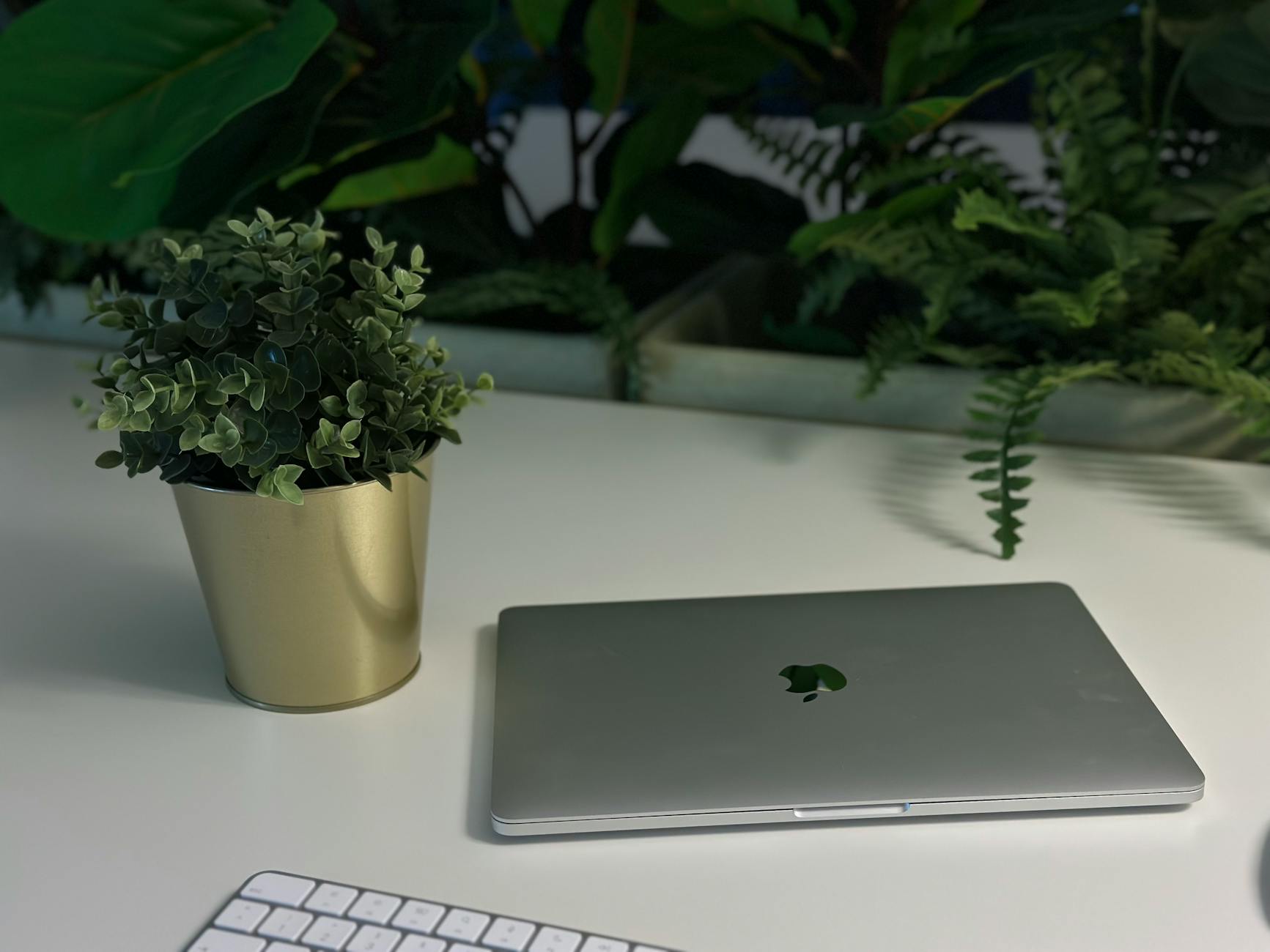 Clean laptop and keyboard on a white desk with plants, representing a minimalist single-source-of-truth developer setup