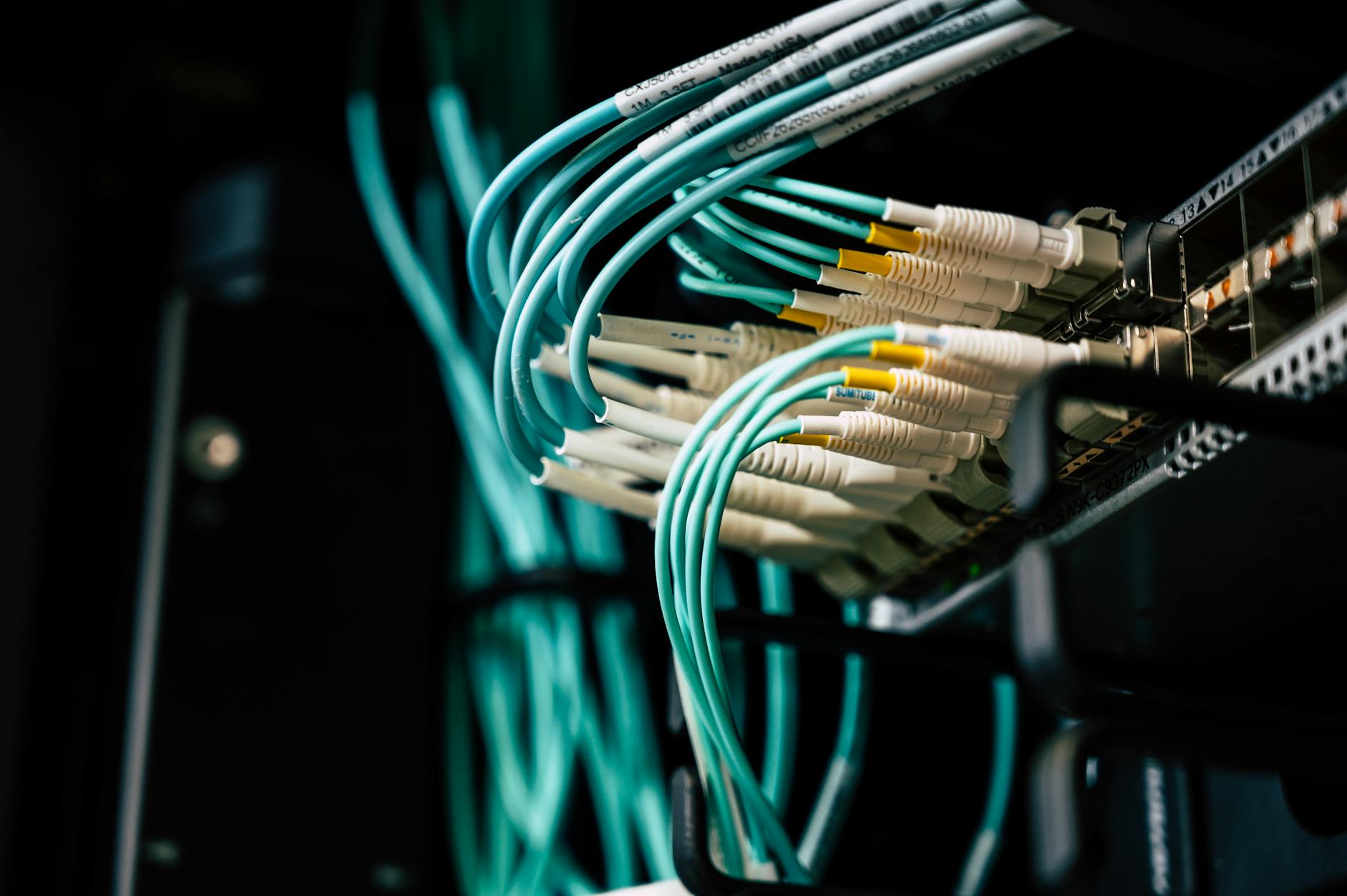 Close-up of network cables plugged into a network switch with colourful cable ends